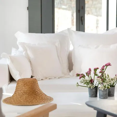 Villa House Y In Tinos